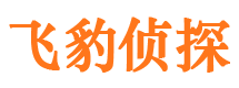 新乐市出轨取证